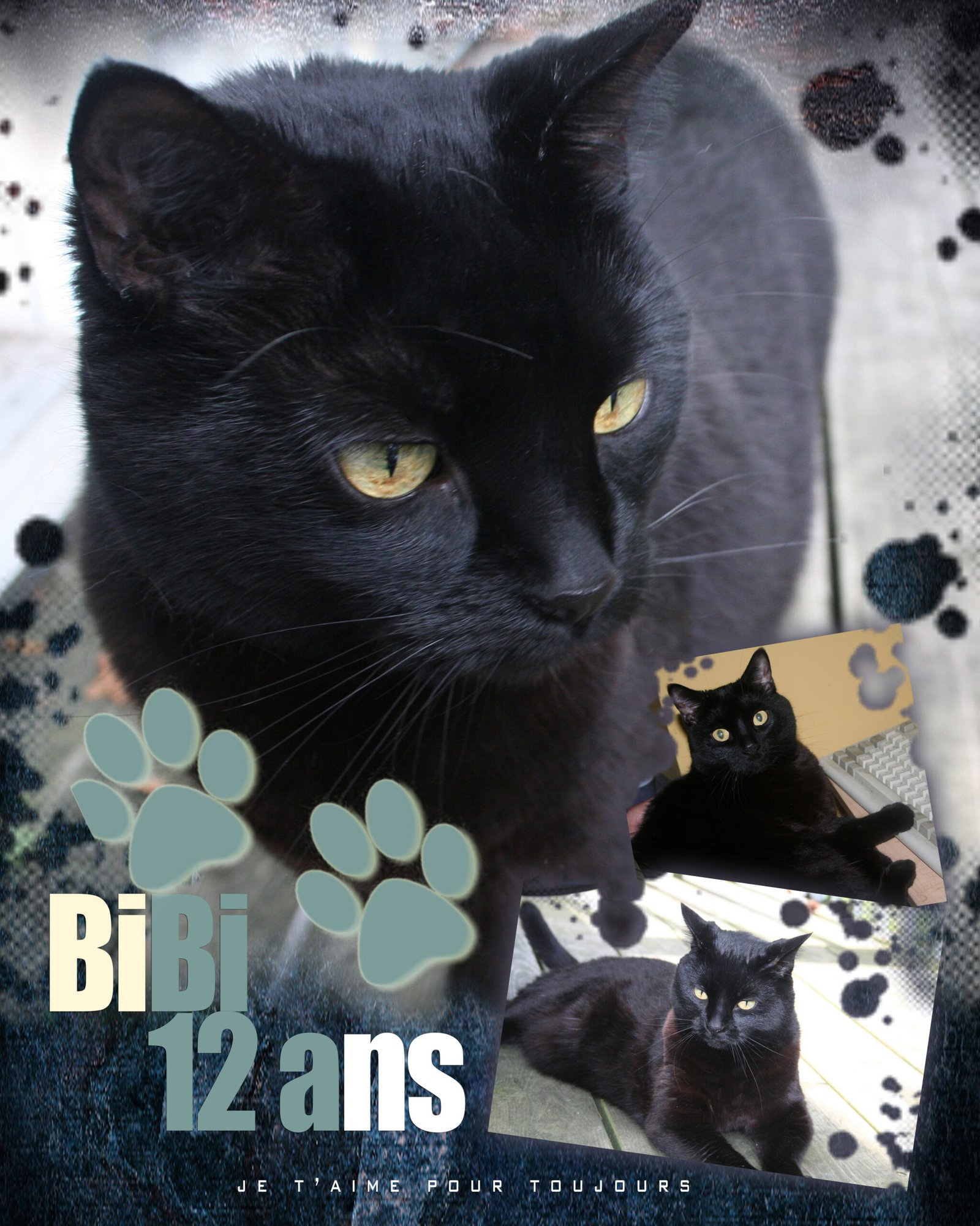 Bibi