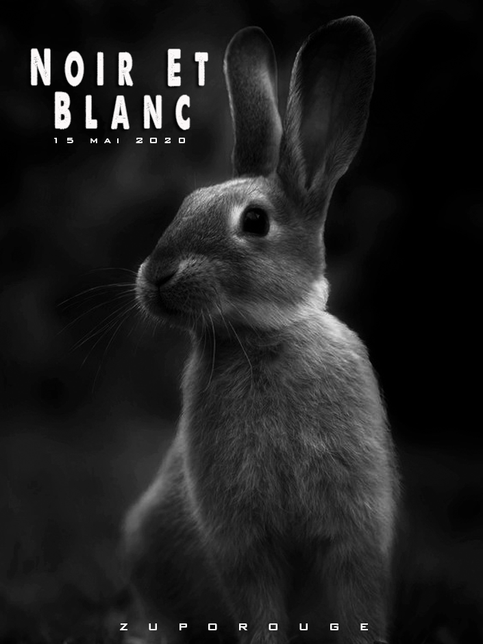Noir Et Blanc